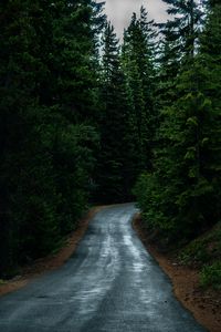 Preview wallpaper road, coniferous forest, dark, nature