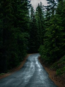 Preview wallpaper road, coniferous forest, dark, nature