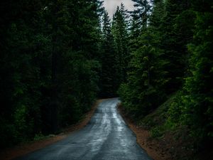 Preview wallpaper road, coniferous forest, dark, nature