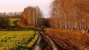 Preview wallpaper road, country, birches, autumn, russia, fields