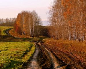 Preview wallpaper road, country, birches, autumn, russia, fields