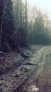 Preview wallpaper road, country, pools, gloomy, secret, wood
