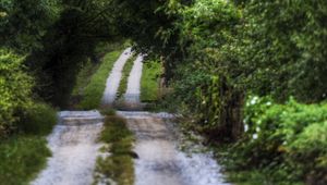 Preview wallpaper road, country, strips, vegetation, summer, cloudy