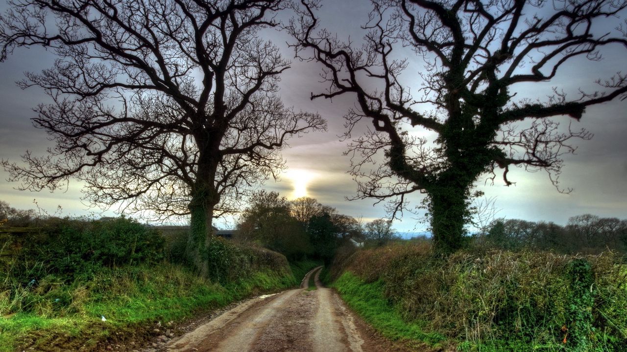 Wallpaper road, country, trees, secret, riddle