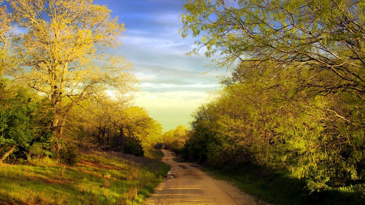 Wallpaper road, country, trees, summer