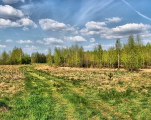 Preview wallpaper road, country, trees, summer, grass, sky, trace, wood, young growth