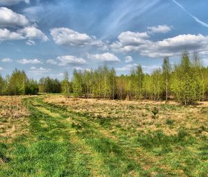 Preview wallpaper road, country, trees, summer, grass, sky, trace, wood, young growth