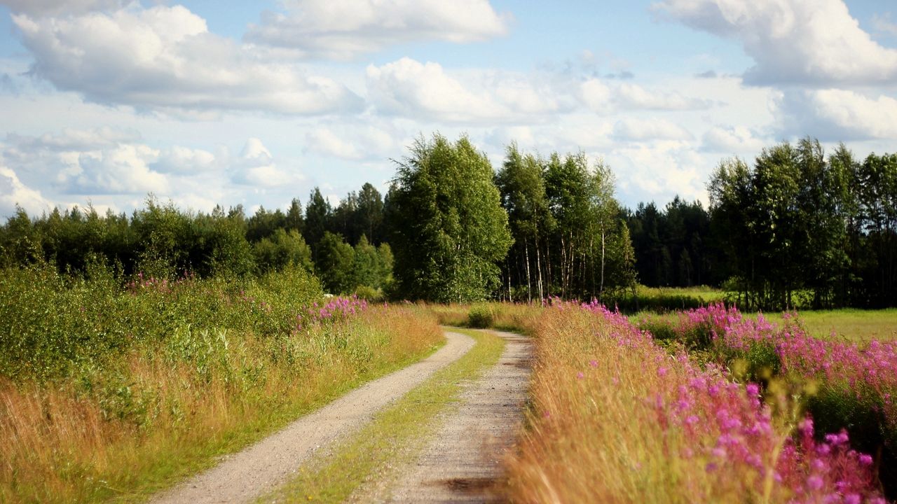 Wallpaper road, country, trees, flowers, roadside, sky, clouds