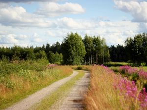 Preview wallpaper road, country, trees, flowers, roadside, sky, clouds