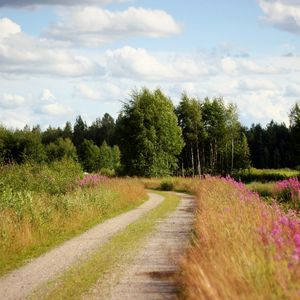 Preview wallpaper road, country, trees, flowers, roadside, sky, clouds