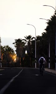 Preview wallpaper road, cyclist, palm trees, asphalt, turn