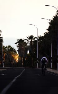 Preview wallpaper road, cyclist, palm trees, asphalt, turn