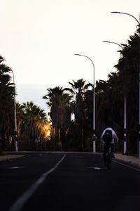 Preview wallpaper road, cyclist, palm trees, asphalt, turn