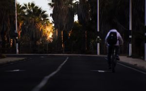 Preview wallpaper road, cyclist, palm trees, asphalt, turn