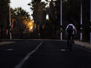 Preview wallpaper road, cyclist, palm trees, asphalt, turn