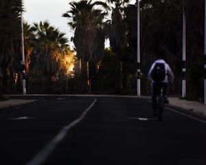 Preview wallpaper road, cyclist, palm trees, asphalt, turn