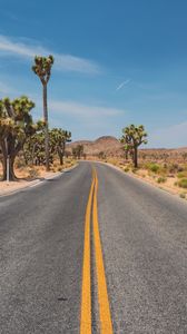 Preview wallpaper road, desert, mountains, cacti, landscape