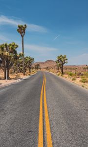 Preview wallpaper road, desert, mountains, cacti, landscape