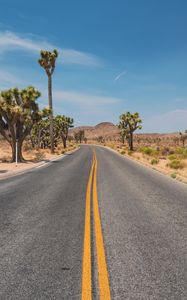 Preview wallpaper road, desert, mountains, cacti, landscape