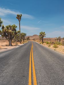 Preview wallpaper road, desert, mountains, cacti, landscape