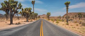 Preview wallpaper road, desert, mountains, cacti, landscape