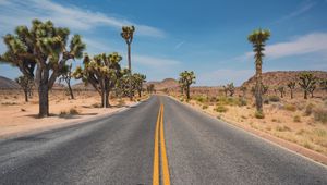 Preview wallpaper road, desert, mountains, cacti, landscape