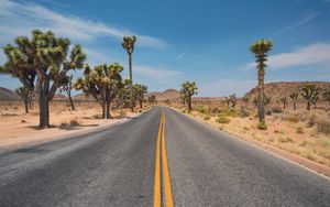 Preview wallpaper road, desert, mountains, cacti, landscape