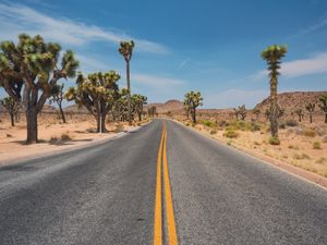 Preview wallpaper road, desert, mountains, cacti, landscape