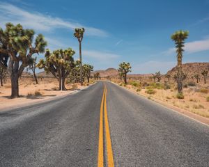 Preview wallpaper road, desert, mountains, cacti, landscape