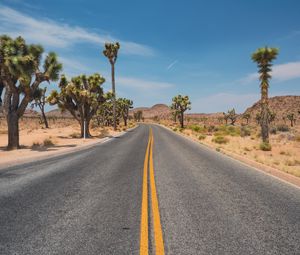 Preview wallpaper road, desert, mountains, cacti, landscape