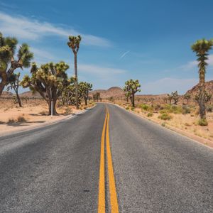 Preview wallpaper road, desert, mountains, cacti, landscape