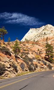 Preview wallpaper road, desert, turn, vegetation