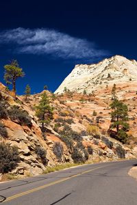 Preview wallpaper road, desert, turn, vegetation