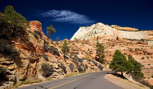 Preview wallpaper road, desert, turn, vegetation