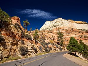 Preview wallpaper road, desert, turn, vegetation