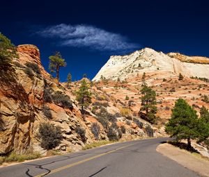 Preview wallpaper road, desert, turn, vegetation