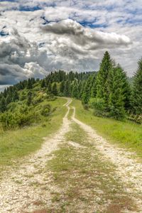 Preview wallpaper road, distance, forest, clouds