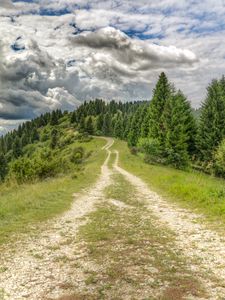 Preview wallpaper road, distance, forest, clouds