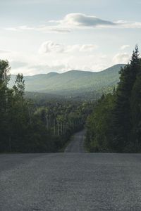 Preview wallpaper road, distance, trees, forest, asphalt