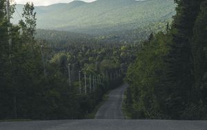 Preview wallpaper road, distance, trees, forest, asphalt