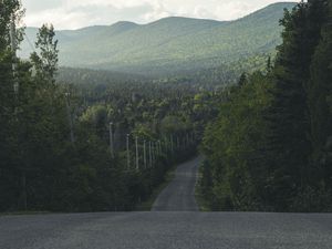 Preview wallpaper road, distance, trees, forest, asphalt
