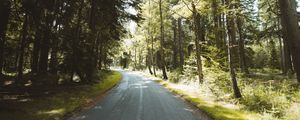 Preview wallpaper road, distance, trees, forest, branches