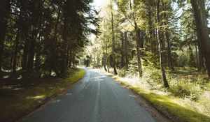 Preview wallpaper road, distance, trees, forest, branches