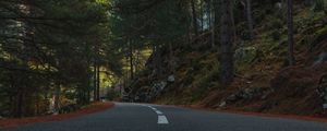 Preview wallpaper road, distance, trees, spruce