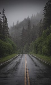 Preview wallpaper road, distance, trees, fog, spruce
