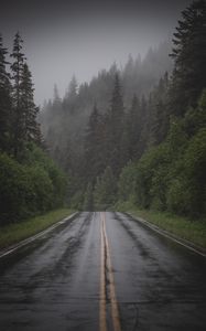 Preview wallpaper road, distance, trees, fog, spruce