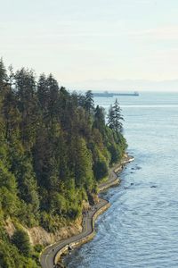 Preview wallpaper road, embankment, trees, sea