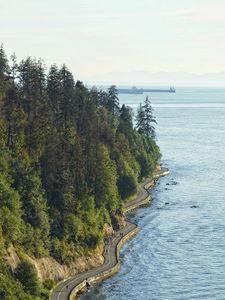 Preview wallpaper road, embankment, trees, sea