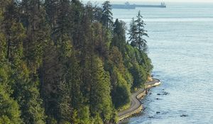 Preview wallpaper road, embankment, trees, sea