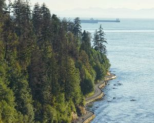 Preview wallpaper road, embankment, trees, sea